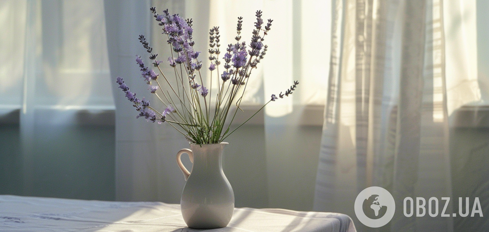 Соседи будут в восторге: как ухаживать за лавандой, чтобы получить пышное цветение летом