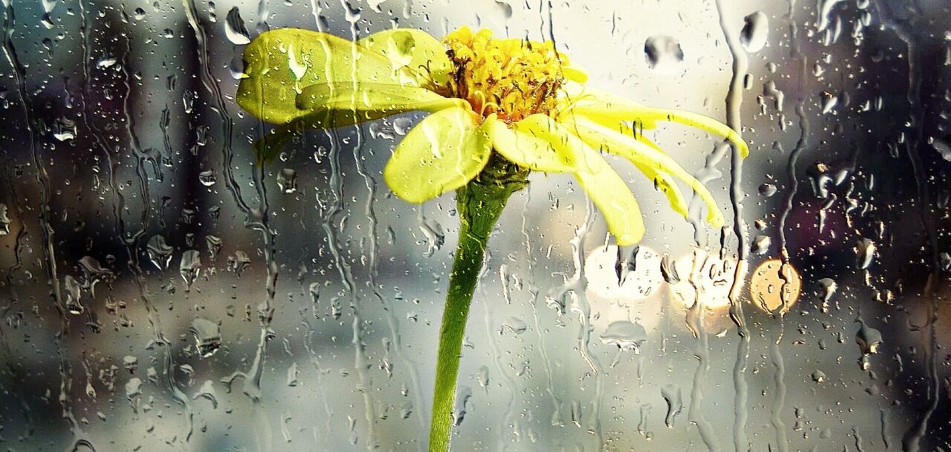 Дожди с грозами почти по всей территории: синоптики дали прогноз погоды на четверг, 30 мая