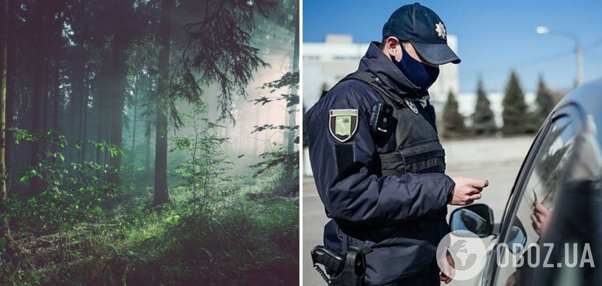 Житель Волыни избил полицейского, испугавшись повестки: как его наказали