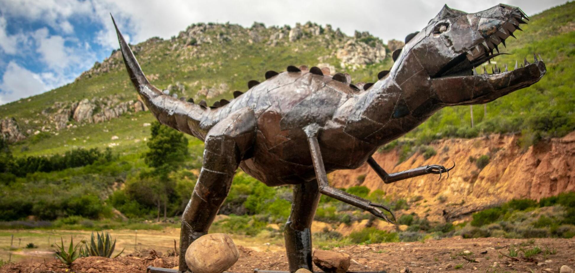 'Темные вымирания' незаметно стирают жизнь на Земле: что это такое и как это предотвратить