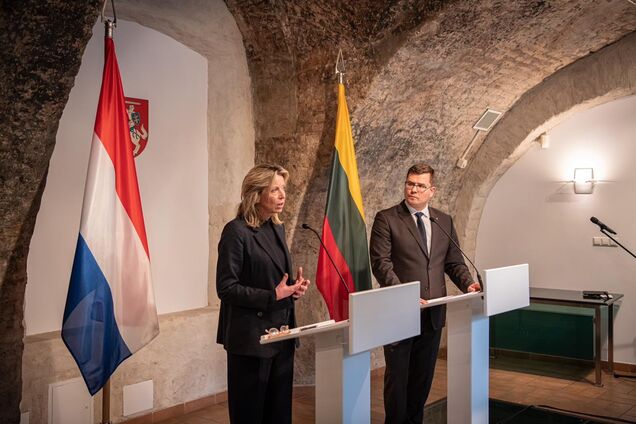 Кайса Оллонгрен на брифинге в Литве