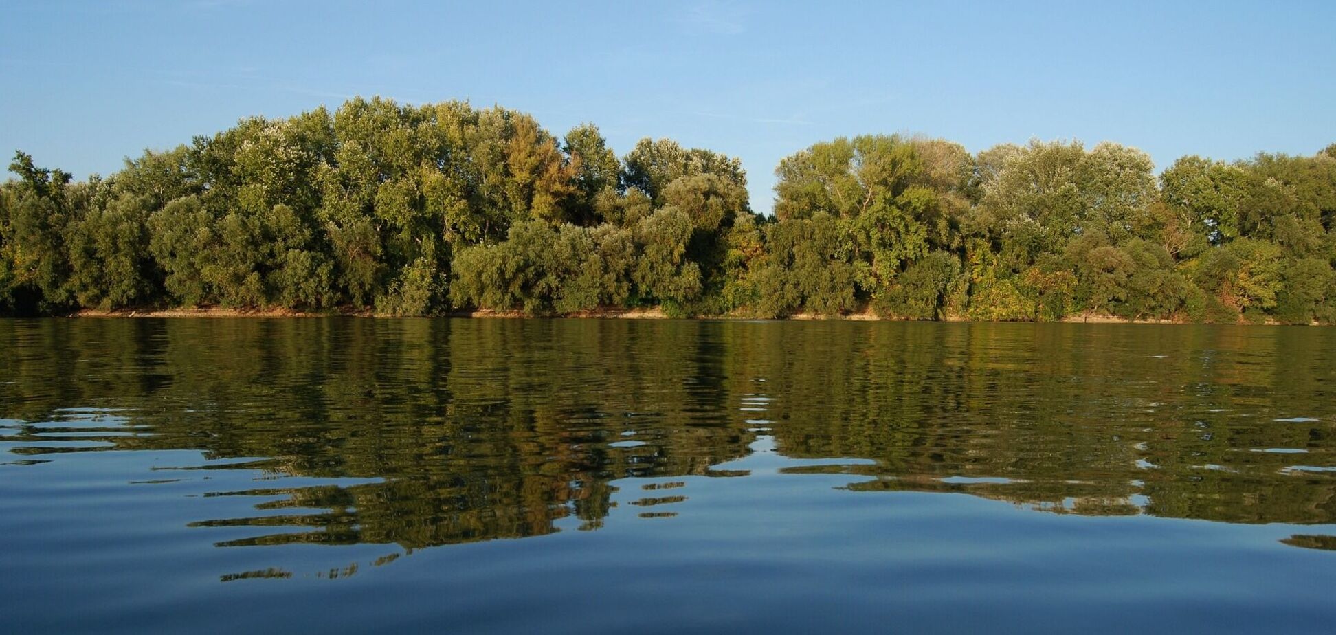 Тело несло течением вдоль берега: в Тисе снова нашли утопленника