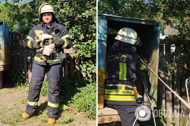 Бойцы ГСЧС достали животное из 16-метровой 'тюрьмы'