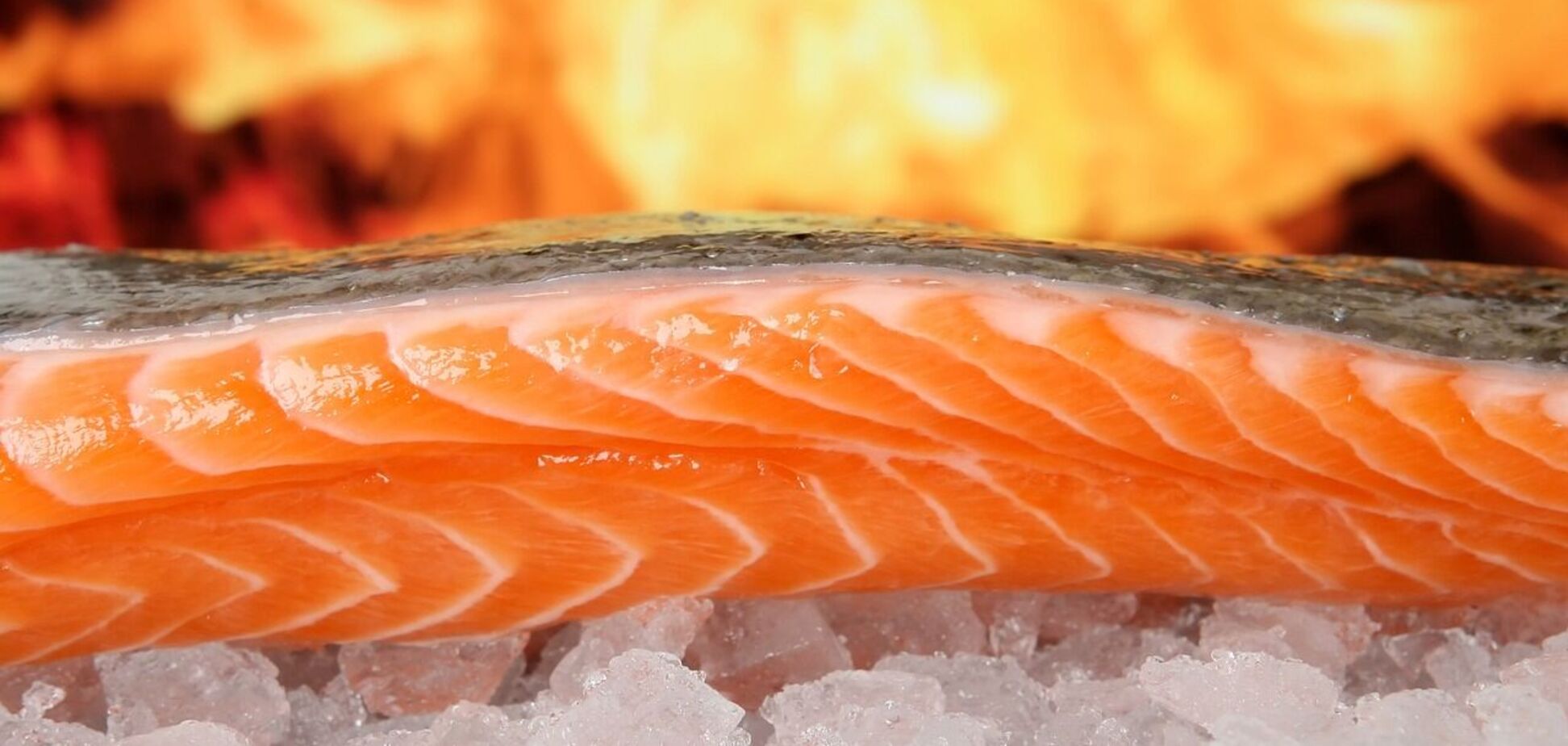 Як збільшити споживання омега-3 жирних кислот: список продуктів