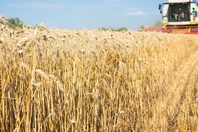 Росія вводить режим НС через втрату зерна