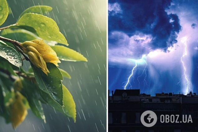 Украину затянет дождями: синоптики дали прогноз погоды на среду, 29 мая