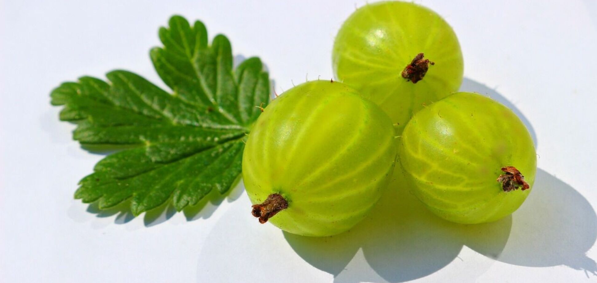 Корисна ягода: шість причин, чому варто включити аґрус до свого раціону