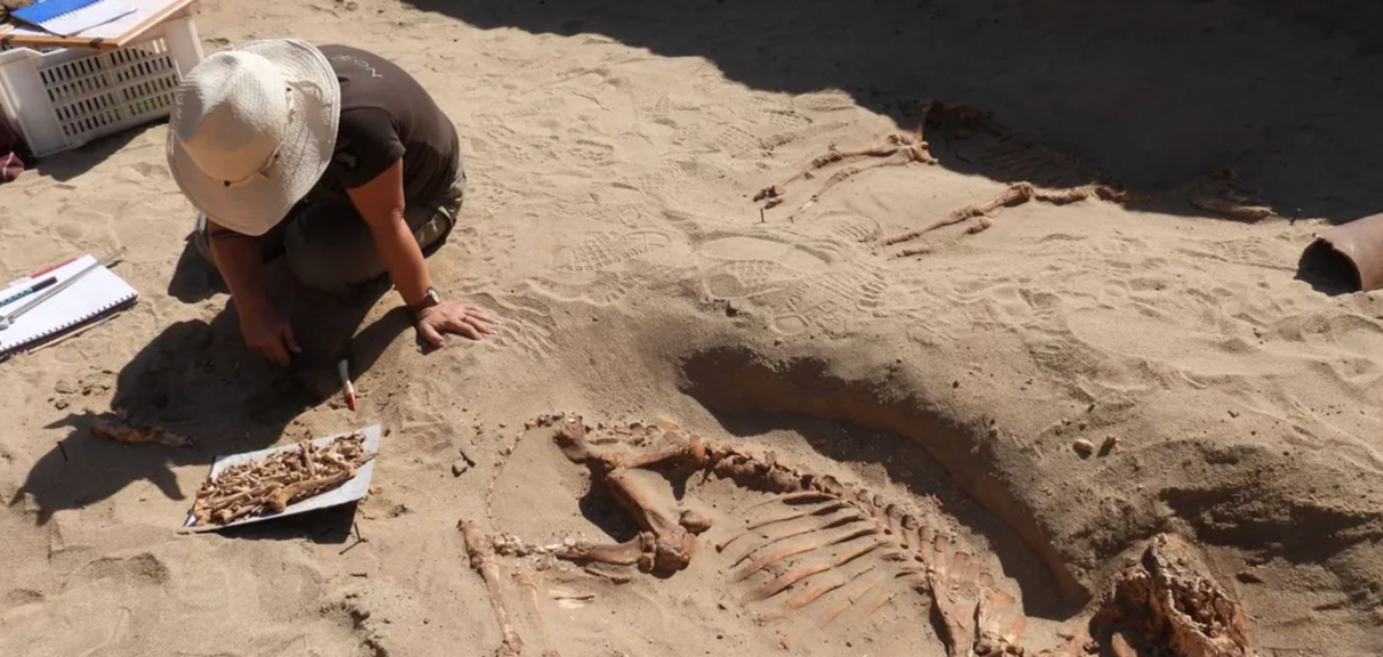 Среди могил кошек, собак и обезьян. На кладбище домашних животных в Египте нашли письма, написанные древнеримскими полководцами