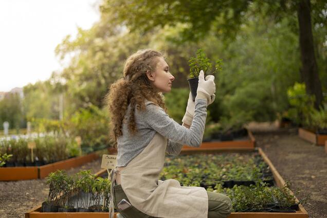 Як позбутися дротяника на городі без хімічних засобів: винахідливий метод