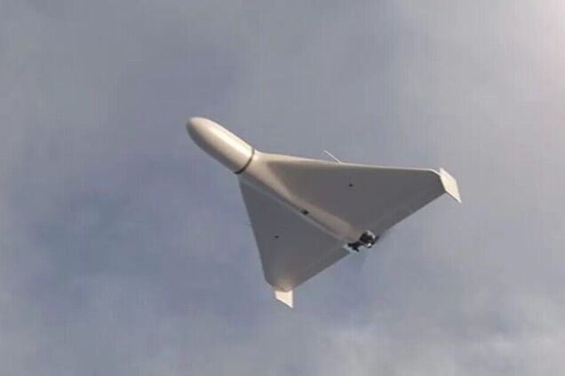 На Львівщині внаслідок падіння уламків збитого 'Шахеда' сталась пожежа: вогонь охопив майже 1 гектар лісу