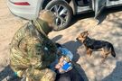 СБУ затримала у Харкові коригувальника РФ, який шпигував за позиціями ЗСУ під виглядом прогулянок із собакою. Фото