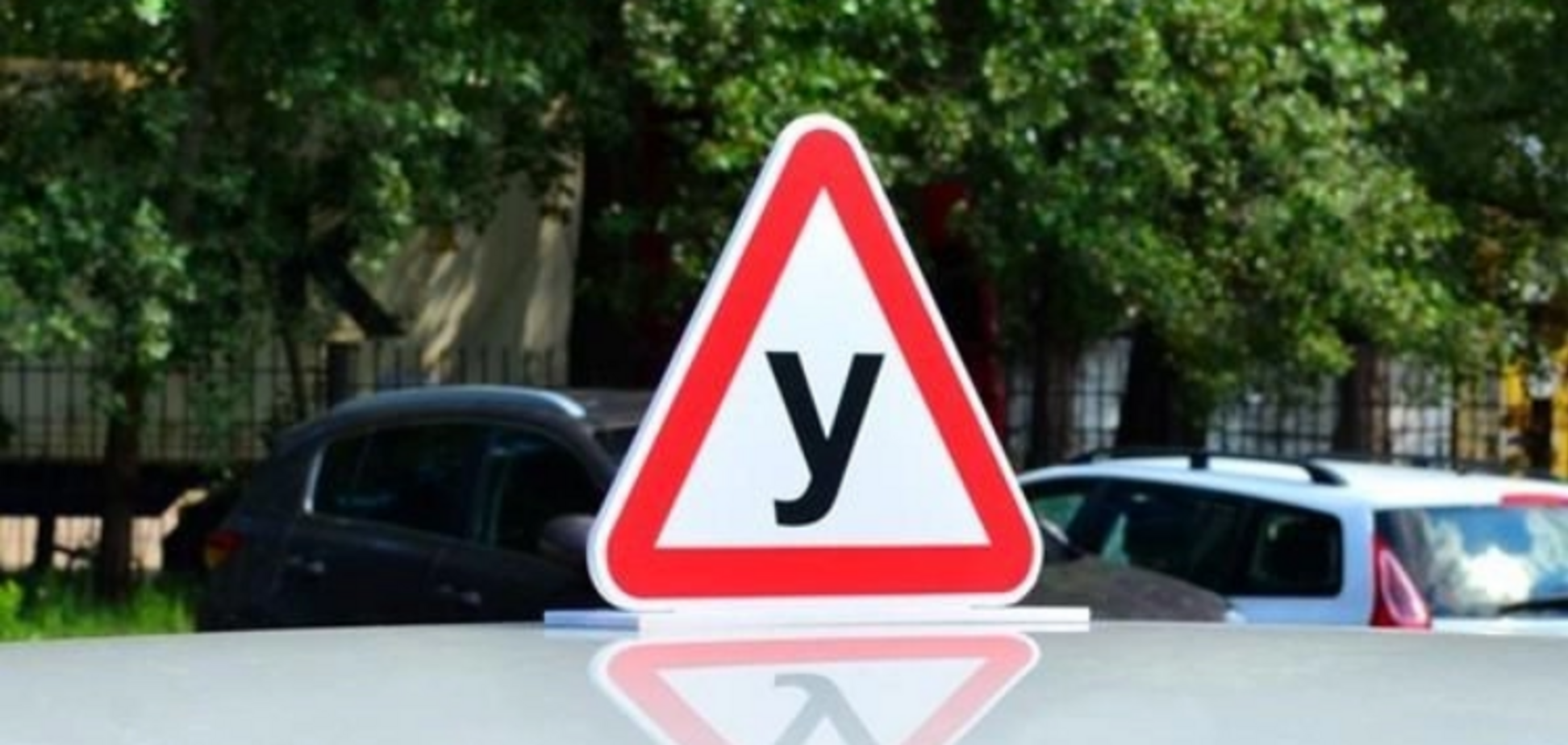 В Украине поменяют знаки на учебных автомобилях