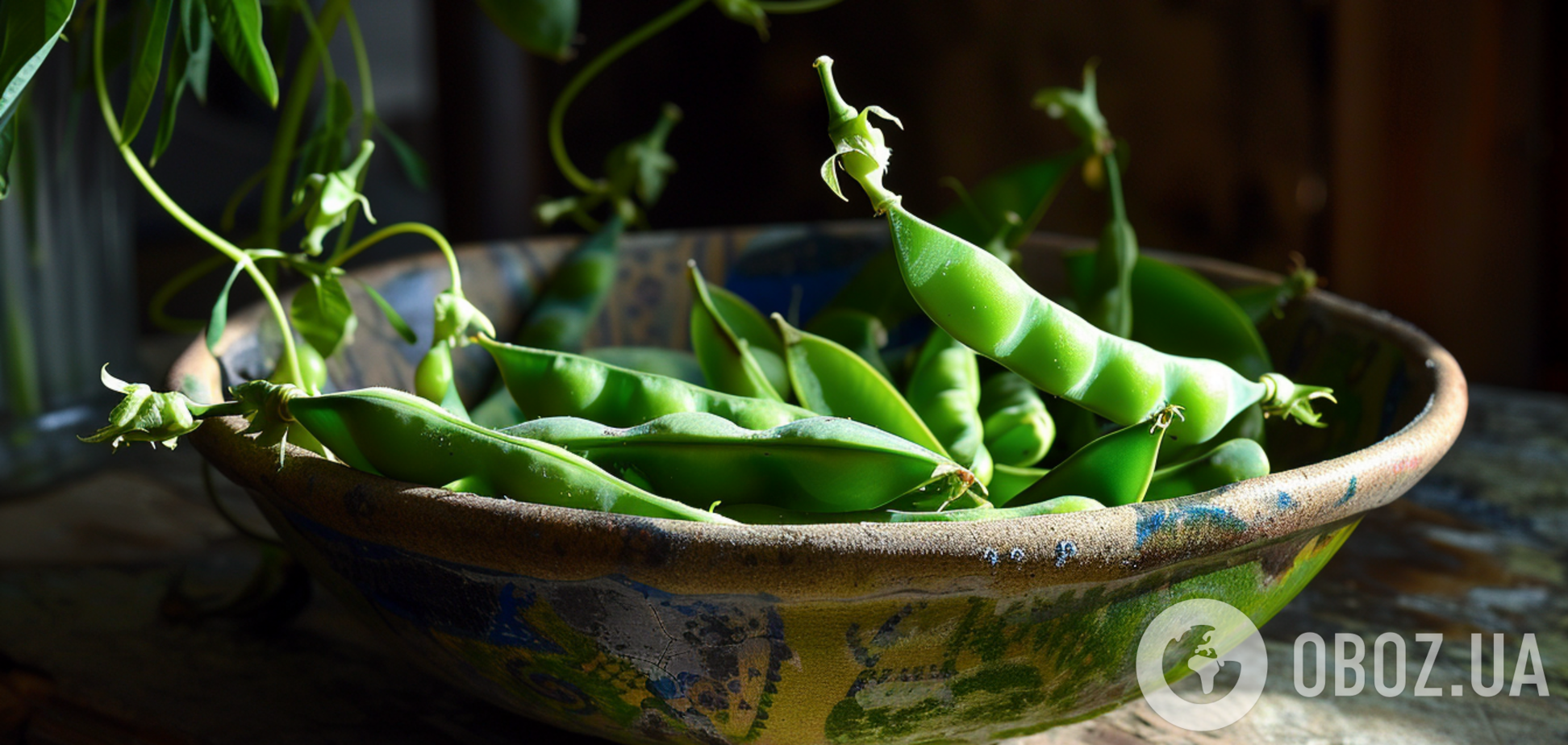 Горох буде великим і солодким: чим підживити у червні