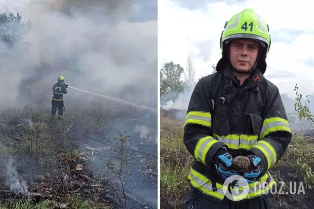 Під час пожежі бійці ДСНС врятували маленького їжака