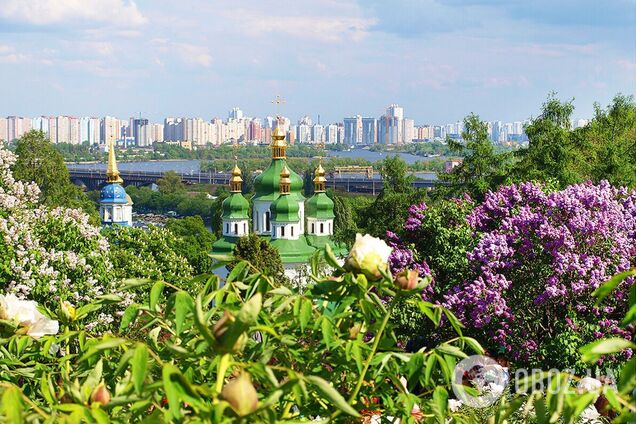 Сад сирени сквозь годы