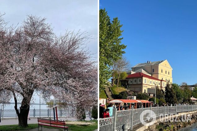 'Файный город': что посмотреть в Тернополе на выходных