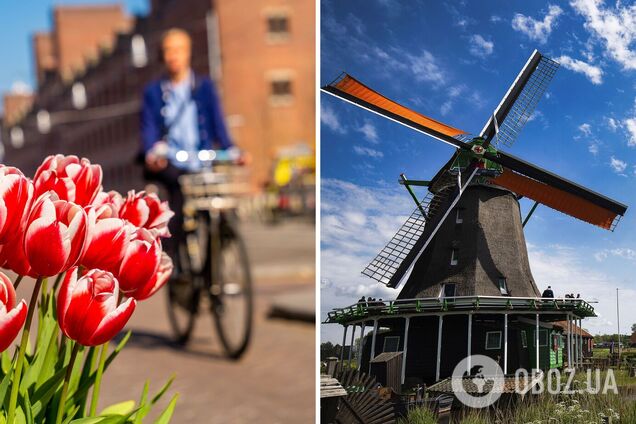 Від парку Кекенгоф до музею Ван Гога: плануємо маршрут Нідерландами