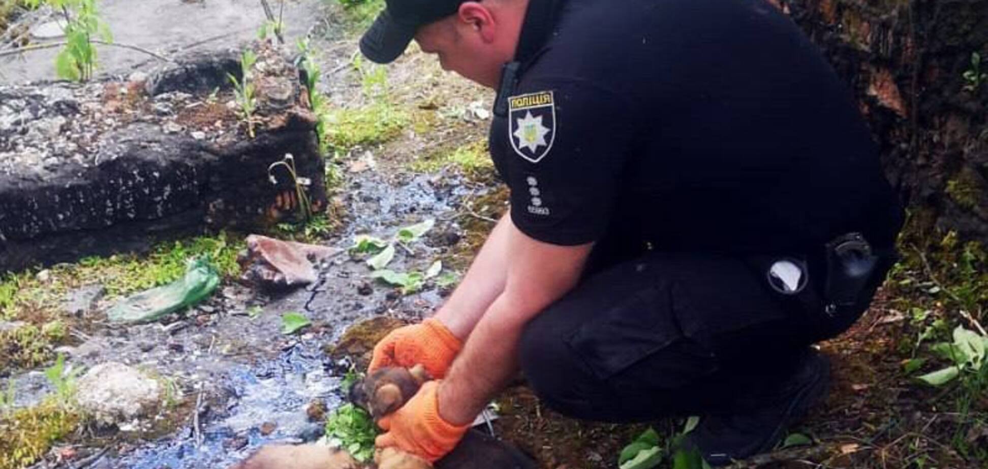 Український поліцейський врятував цуценят зі смертельної пастки: фото героя