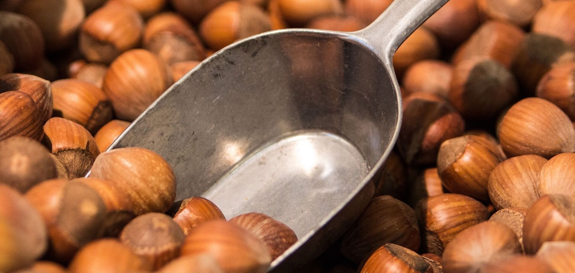 Чим корисні сухофрукти та горіхи: 5 дивовижних властивостей цих продуктів