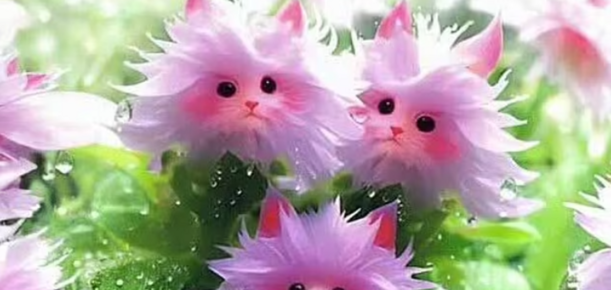 Десятки тисяч людей у світі стали 'жертвами' квітів, схожих на котів: що відомо про гучну аферу eBay і до чого тут штучний інтелект