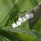Короткочасні дощі, місцями грози: синоптики дали прогноз погоди на вівторок, 7 травня