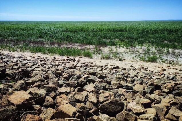 У мережі показали, як зараз виглядає Каховське водосховище. Фото