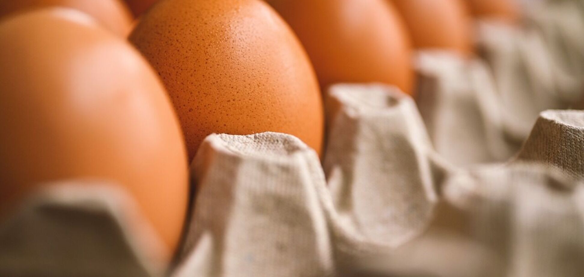 Чи дійсно яйця корисні для здоровʼя людини: відповідь лікаря 