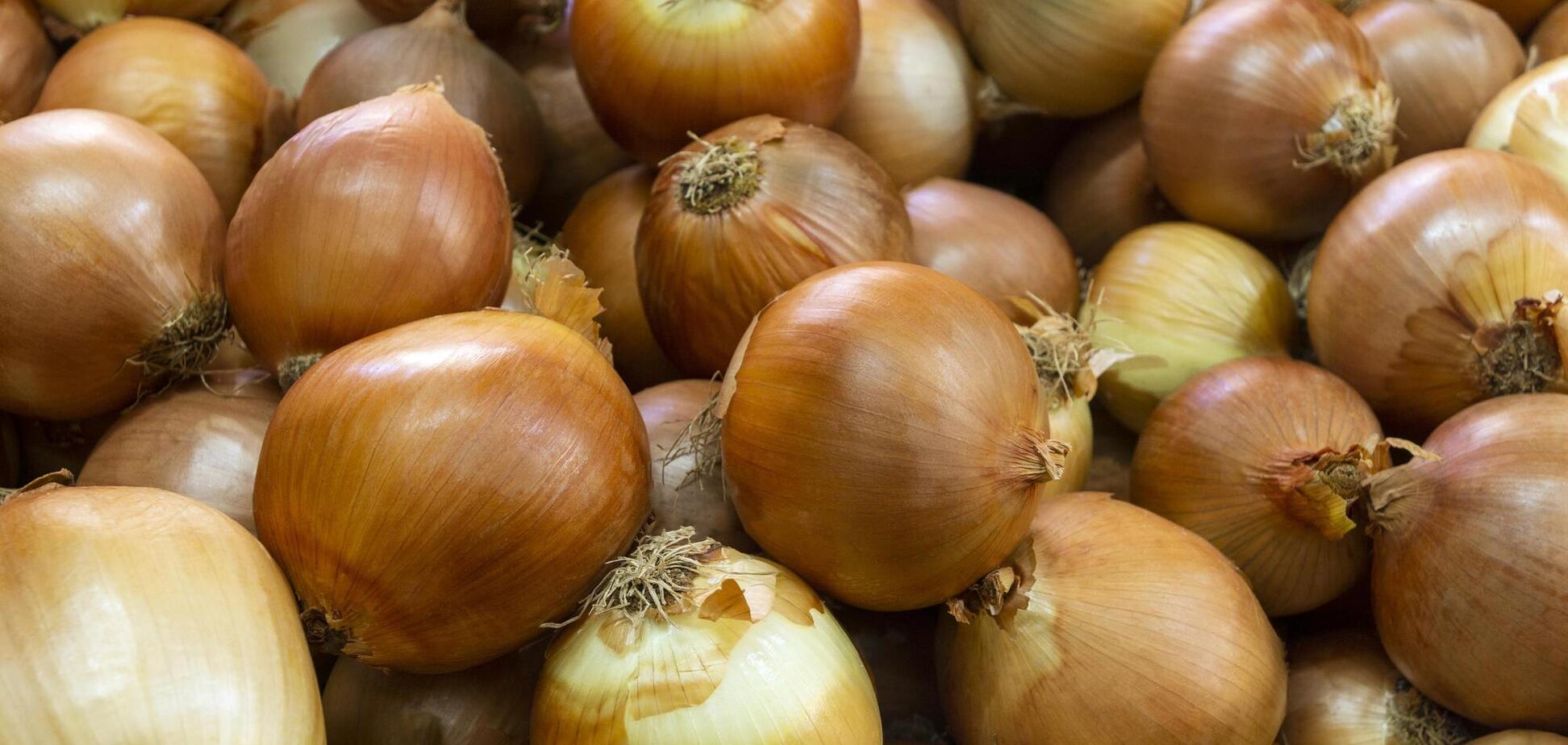 В Украине подорожал лук