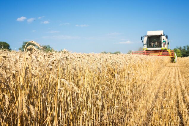 Урожай зерновых культур в Украине избегает налогообложения