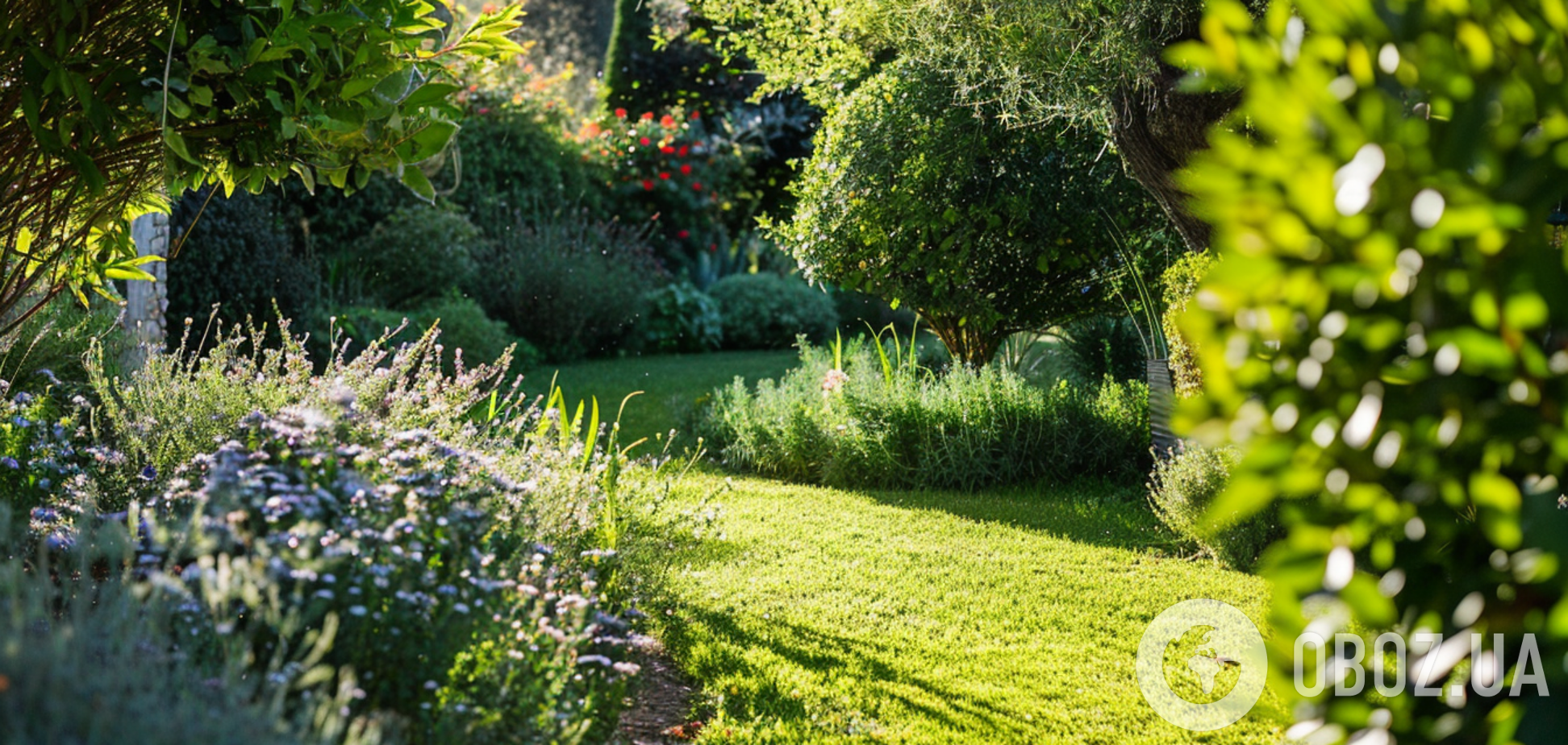 Як позбутися бур’янів у саду і на городі: найкращі способи