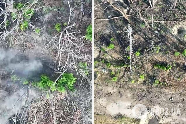 Украинские защитники устроили оккупантам в Крынках ад из дронов. Видео