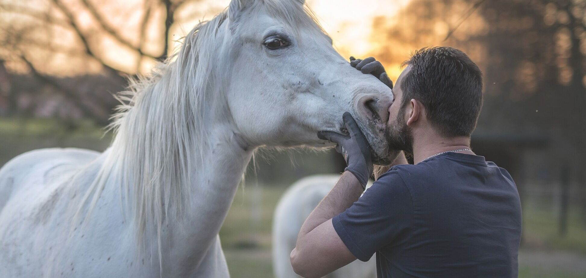 Как лечит общение с животными:  4 интересных факта о зоотерапии