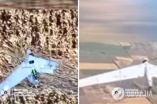 Впав у поле: прикордонники FPV-дроном знищили ворожий розвідувальний БПЛА Zala. Відео 