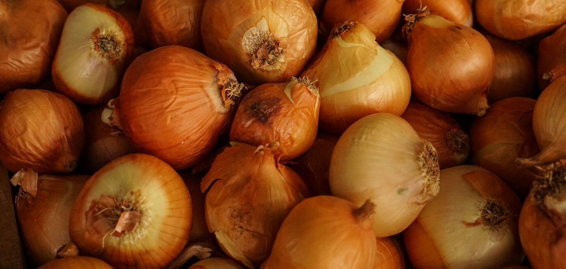 Лук подешевел на четверть за несколько дней