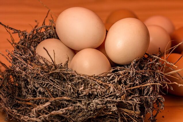 Неймовірна харчова цінність: чому яйця варто їсти кожному