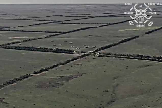 Бригада 'Кара-Даг' прицельно ударила по врагу на Ореховском направлении. Видео