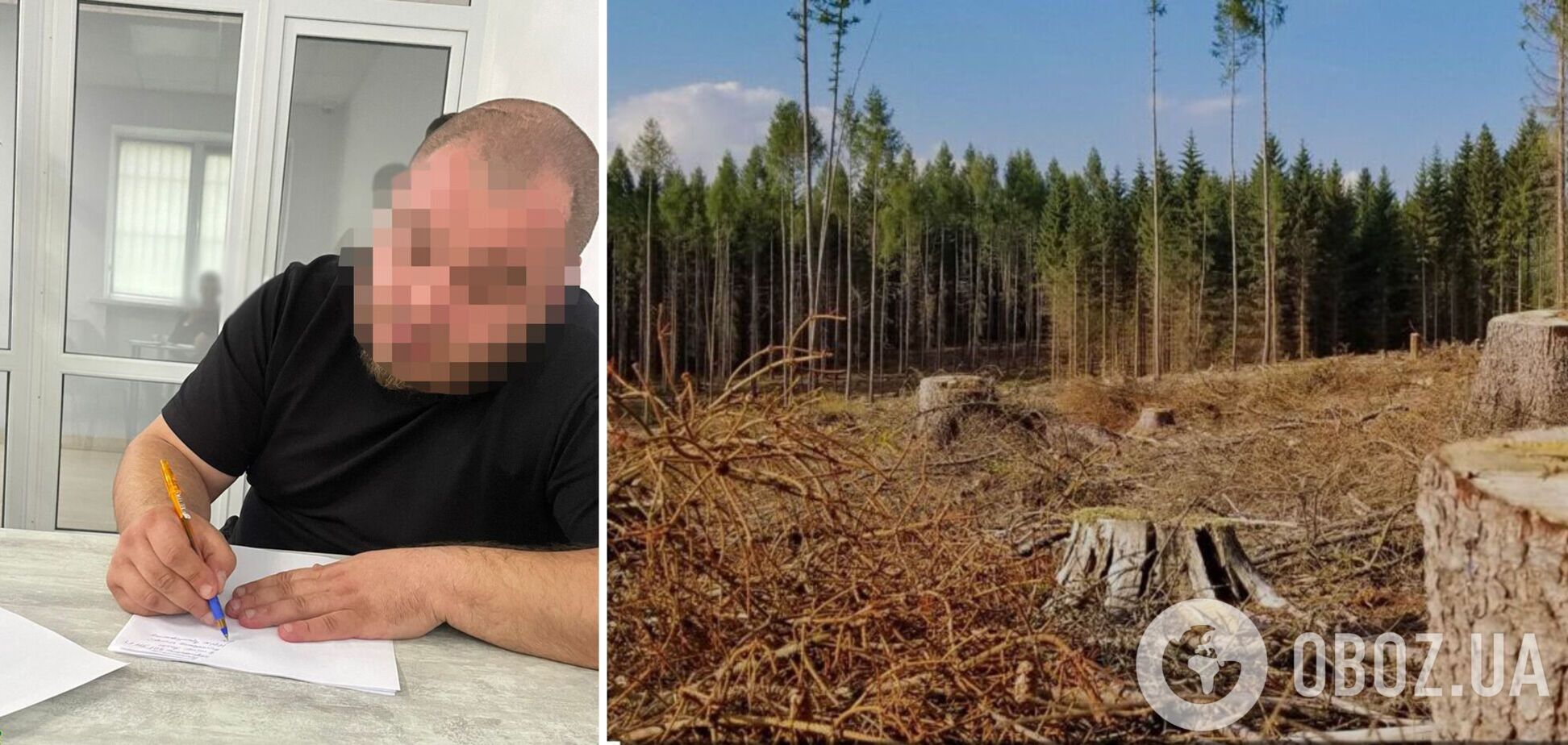Мужчина хотел заработать на 'вывозе' зараженного радиацией леса