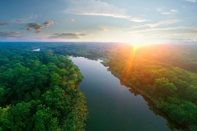 Твой лес изменился: в ГСЧС напомнили о минной опасности на приграничных и деоккупированных территориях. Фото