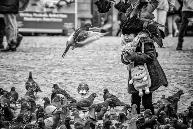 Були майже у кожному дворі: навіщо в СРСР масово розводили голубів