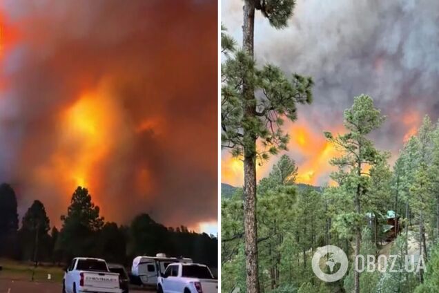 У США вирують лісові пожежі, евакуюють тисячі людей. Фото і відео