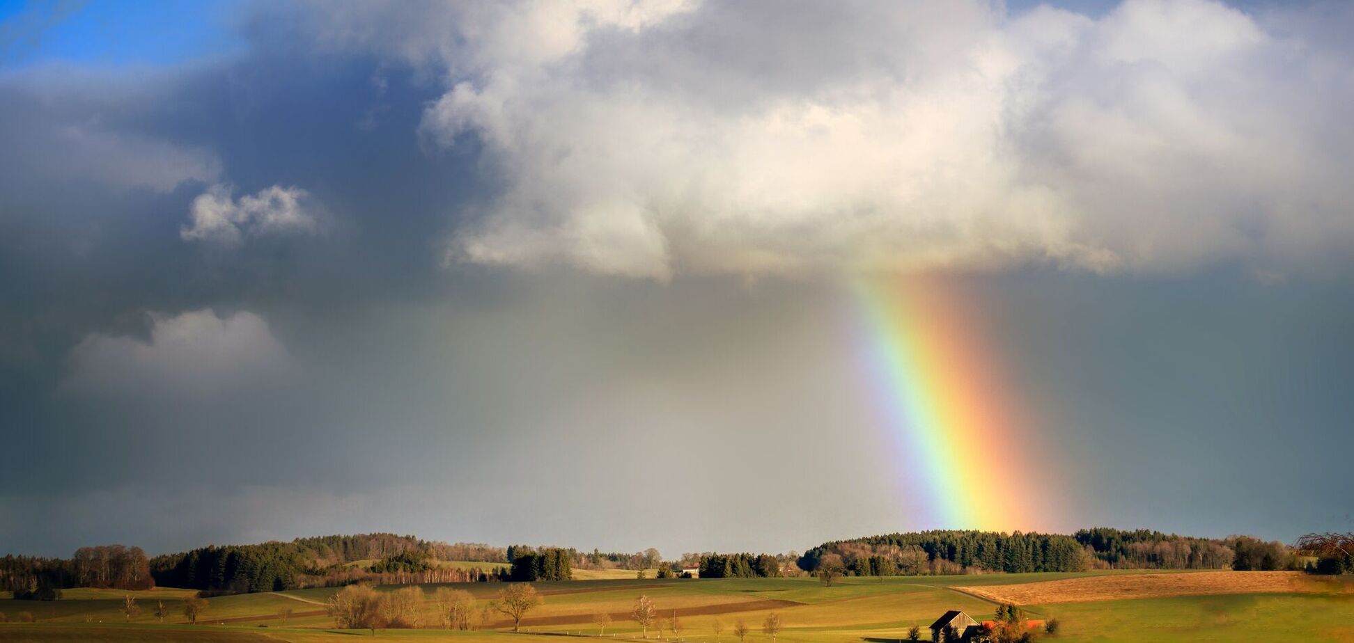 Дожди накроют только три области: синоптики уточнили прогноз на среду в Украине. Карта