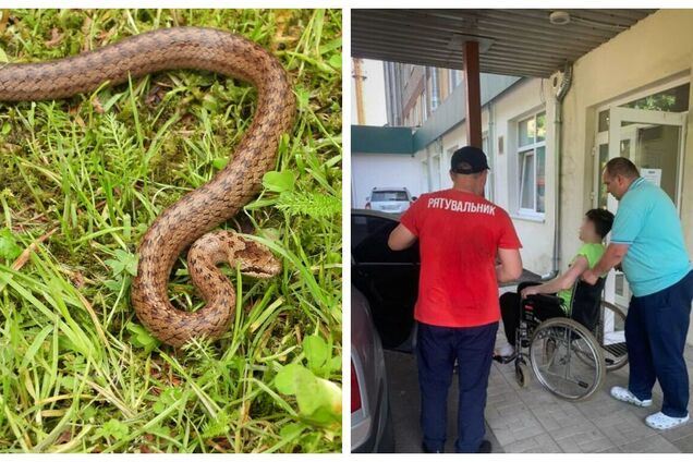 На Закарпатті туриста за горло вкусила змія: знадобилась допомога рятувальників. Фото