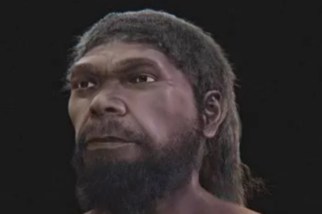 Вчені показали обличчя першої в світі людини через 300 тисяч років після її смерті. Фото