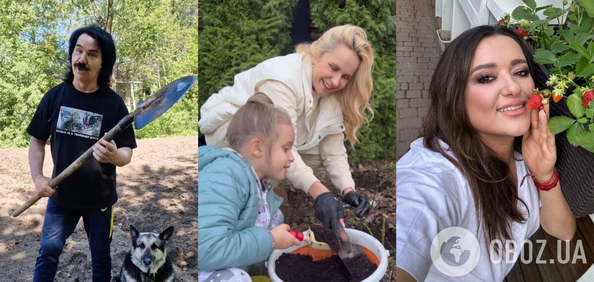 Звезды на огороде: что выращивают Зибров, Ребрик, Полякова и другие знаменитости, любящие копаться в земле. Фото и видео