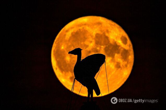 Клубничная Луна в 2024 году будет выглядеть по-другому, чем обычно. И этому есть научное объяснение