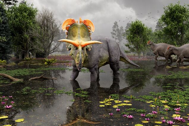 В Монтане обнаружили новый вид динозавров с большими рогами, похожими на лезвия. Фото