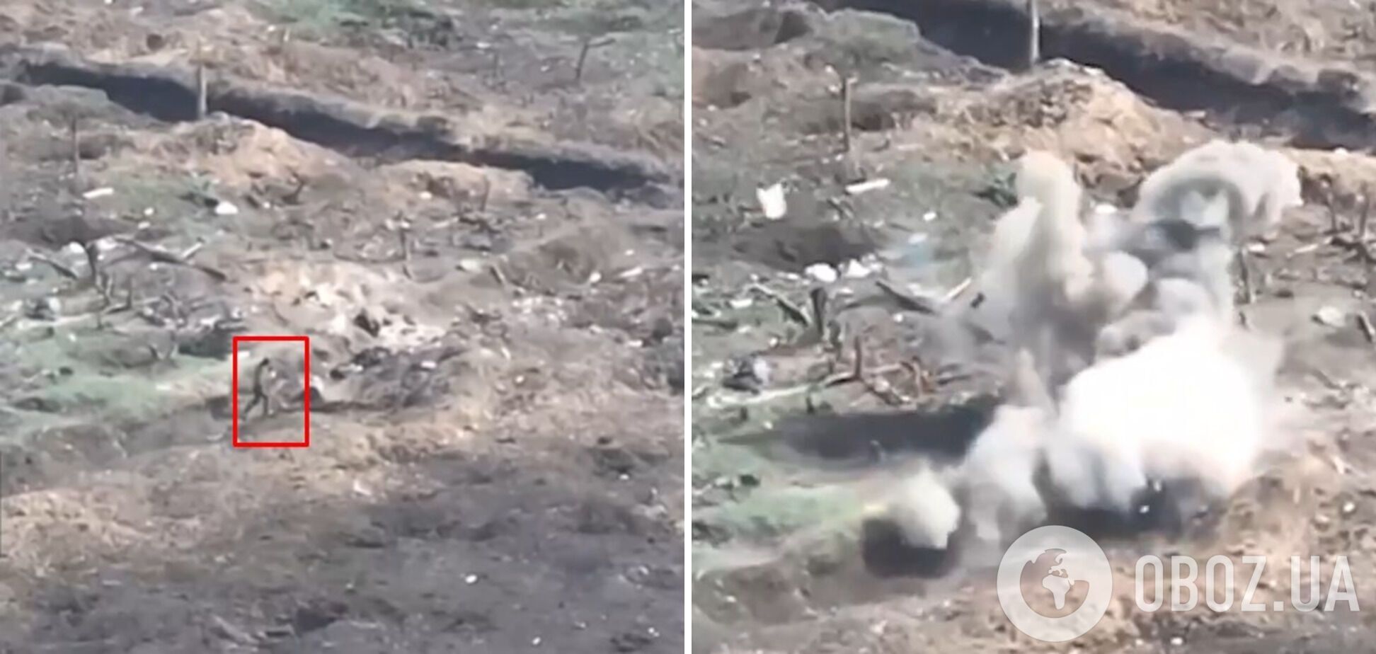 Номінант на премію Дарвіна: окупант сам схопив у руки український дрон з вибухівкою і був ліквідований. Відео