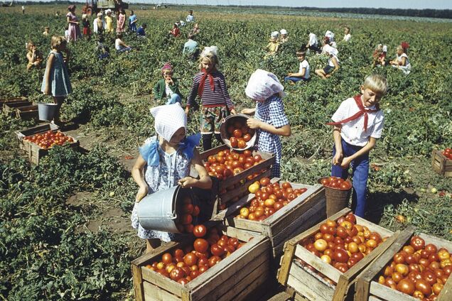 Як в СРСР використовували дитячу працю зі шкодою для здоров`я