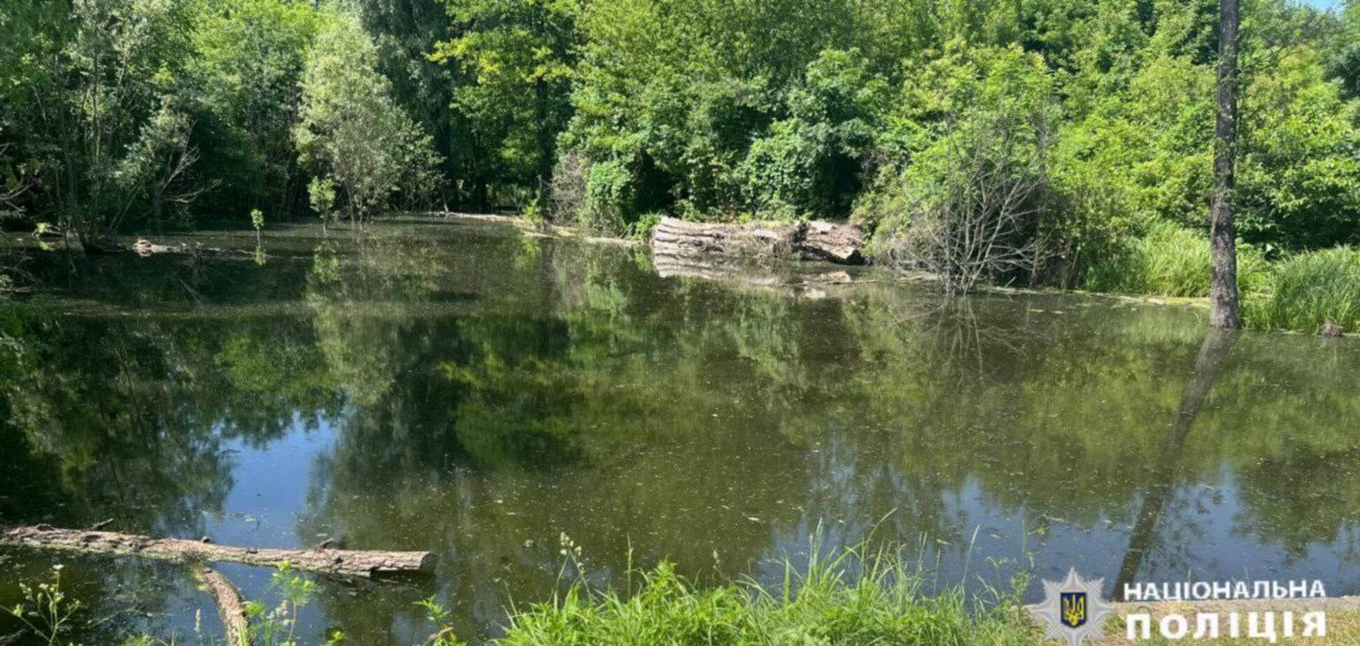 Трагедія на Київщині: у ставку втопився 2-річний хлопчик. Фото