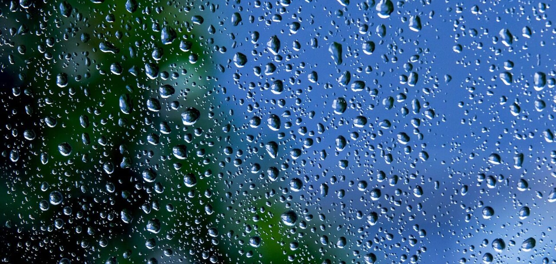 Часть областей накроют дожди и грозы: прогноз на 22 июня